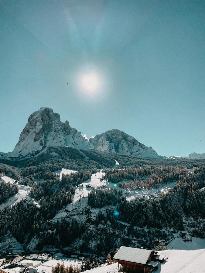 Mountain Chalet Pra Ronch セルヴァ・ディ・ヴァル・ガルデーナ エクステリア 写真