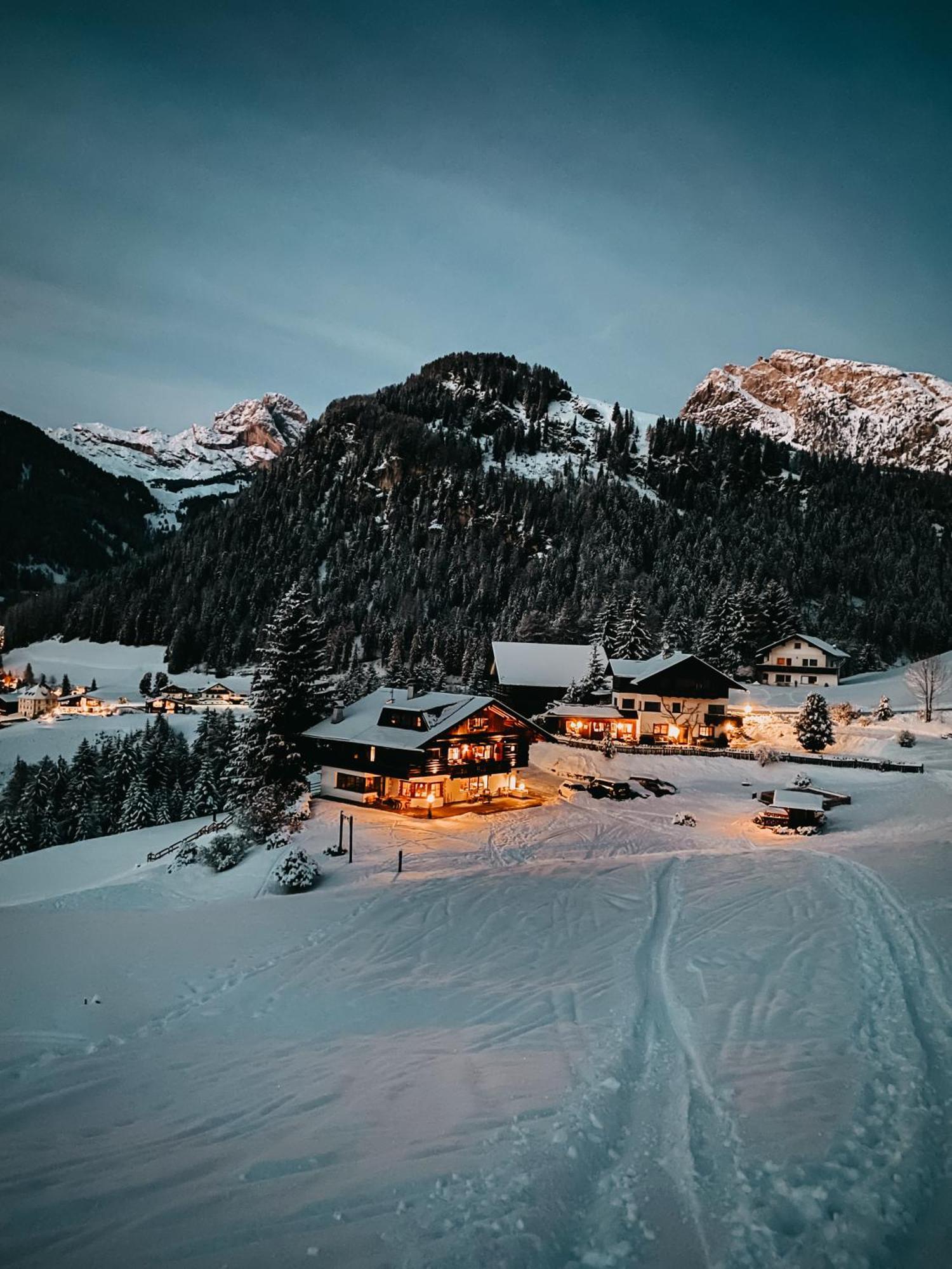 Mountain Chalet Pra Ronch セルヴァ・ディ・ヴァル・ガルデーナ エクステリア 写真