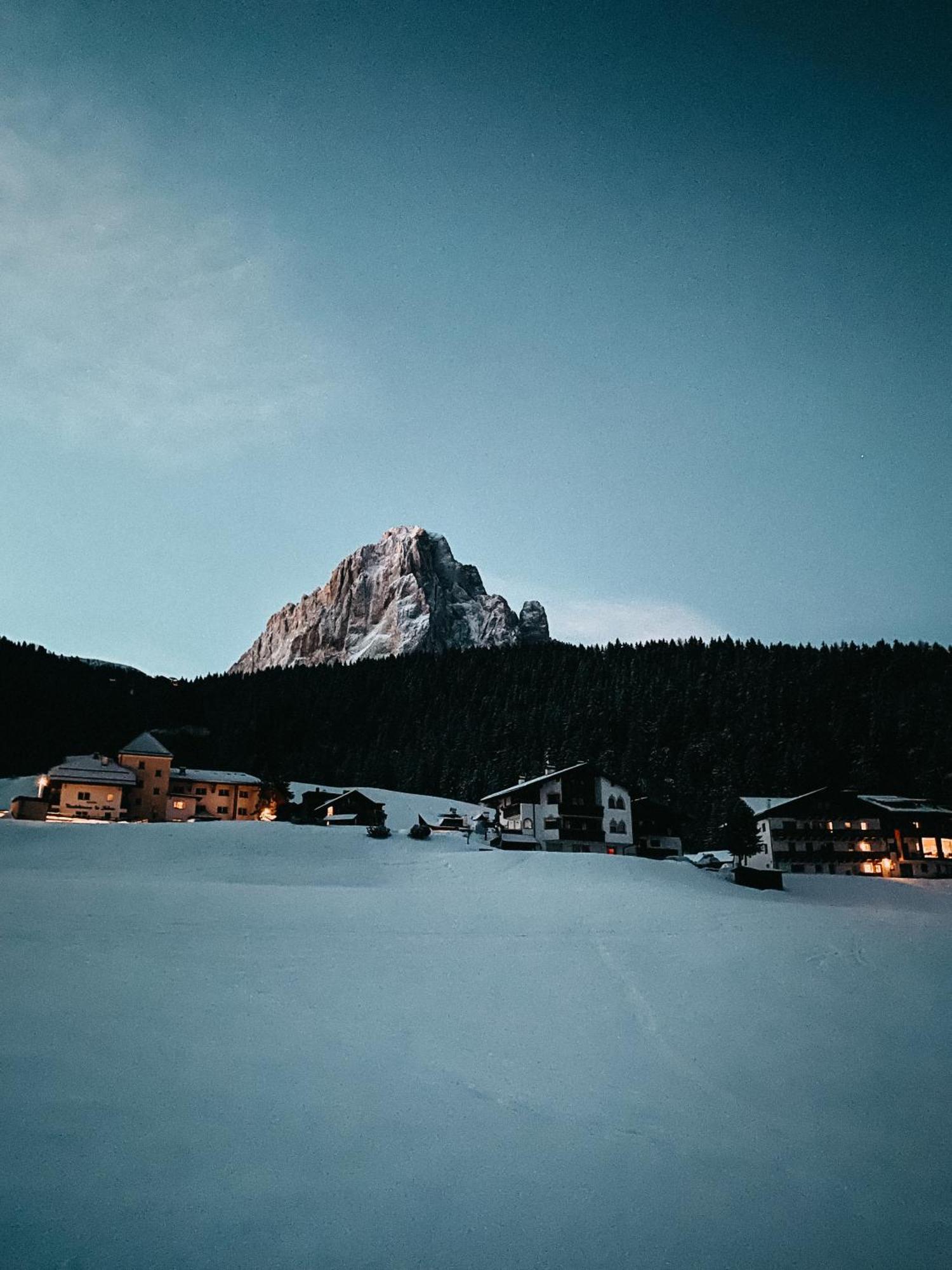 Mountain Chalet Pra Ronch セルヴァ・ディ・ヴァル・ガルデーナ エクステリア 写真