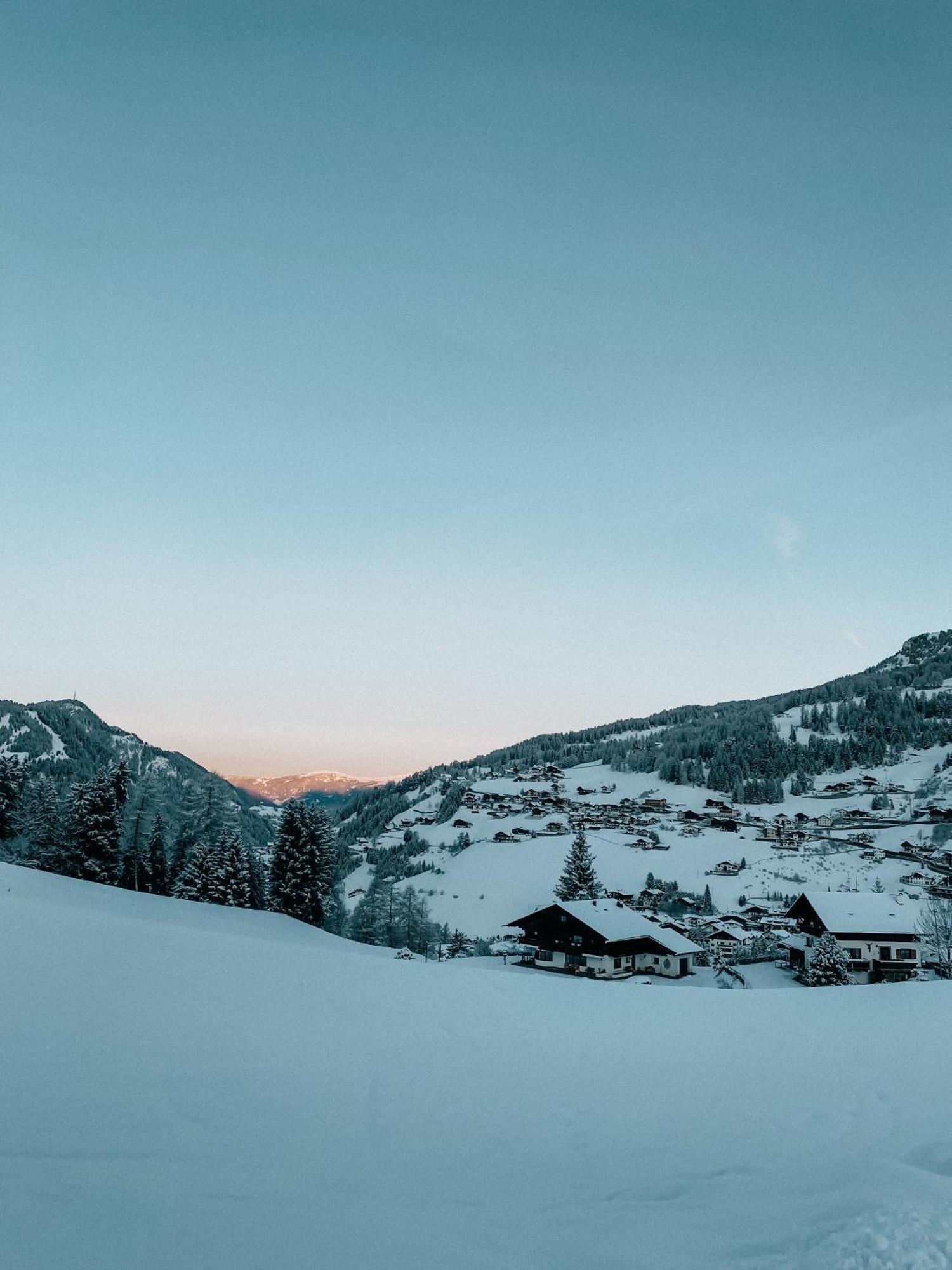 Mountain Chalet Pra Ronch セルヴァ・ディ・ヴァル・ガルデーナ エクステリア 写真